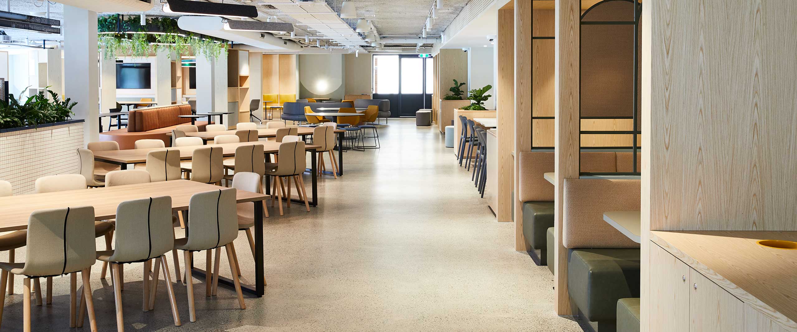 200215-Civic-Knox-Grammar1951