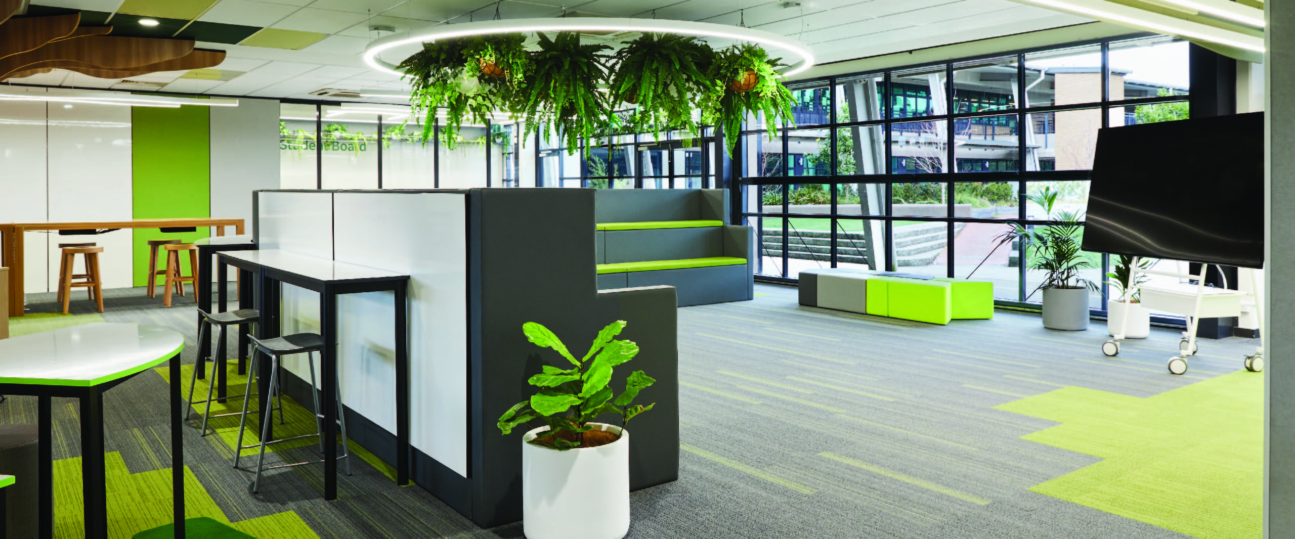 How Biophilic Design Can Enhance Learning Environments